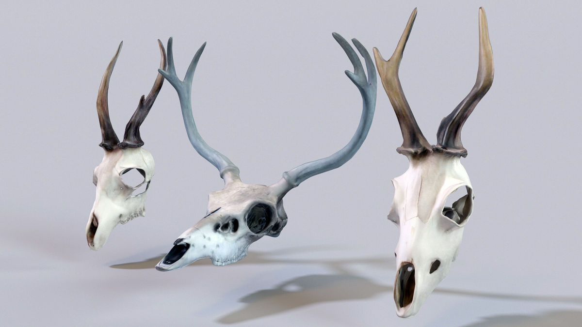 Ultimate Skeleton and Skull Pack. Game-ready low-poly assets