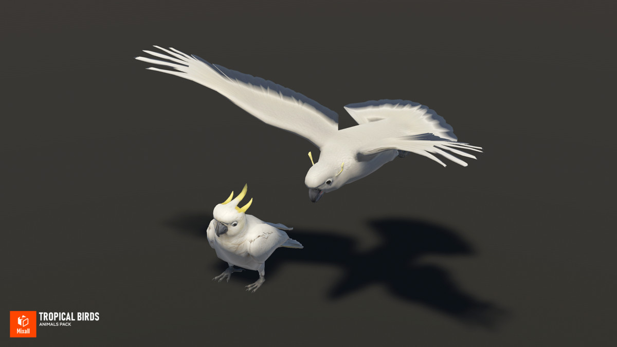 Tropical birds - animals pack