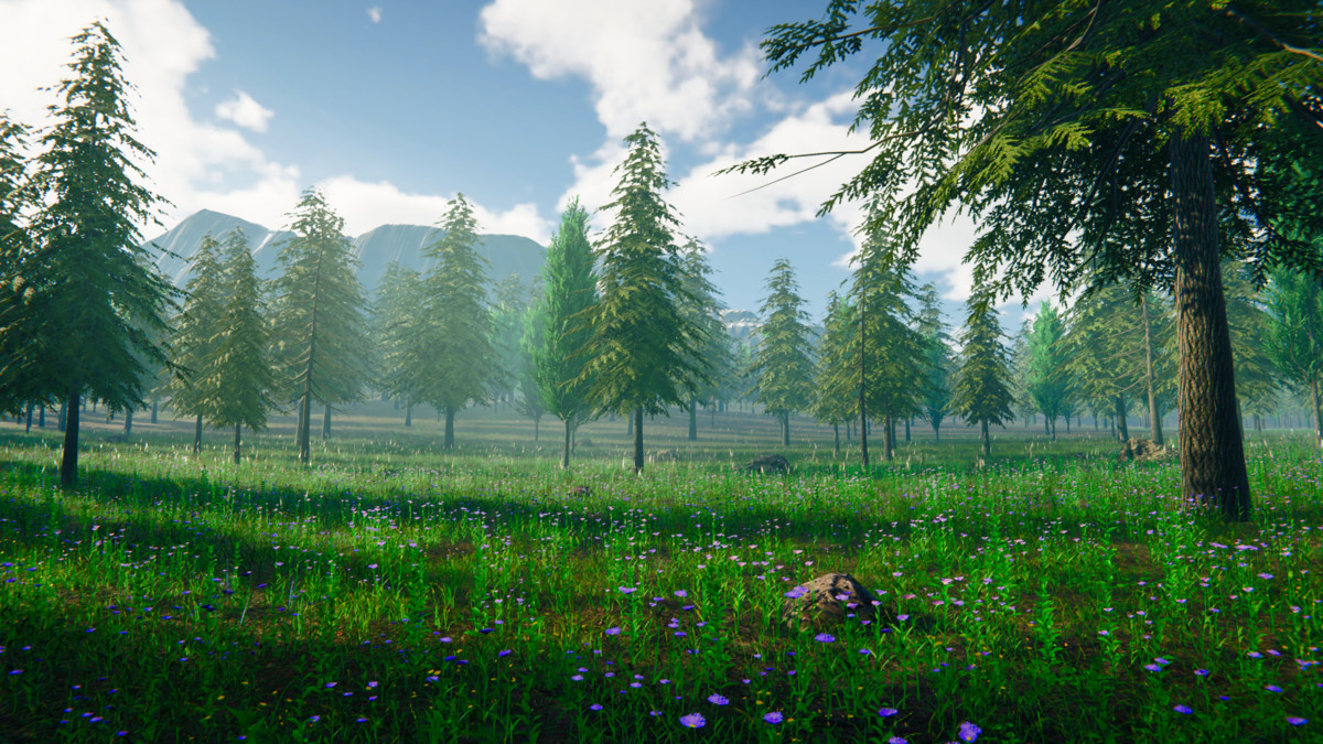 Grass Landscape