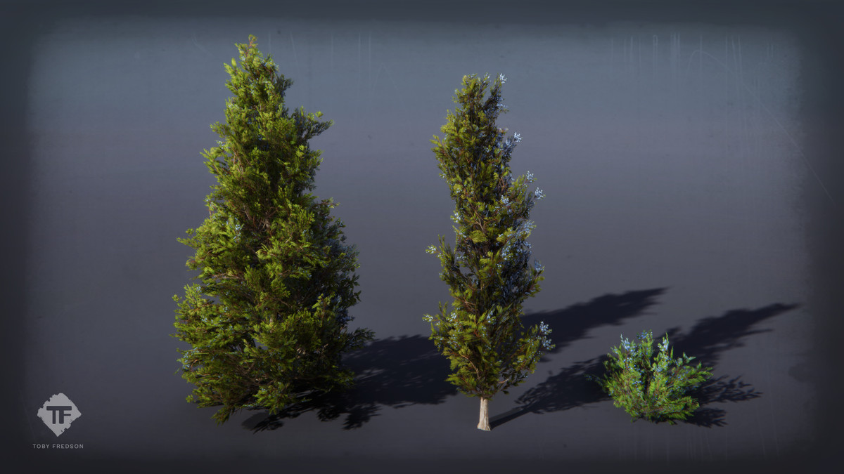 Juniper Pack - Toby Foliage Engine Assets