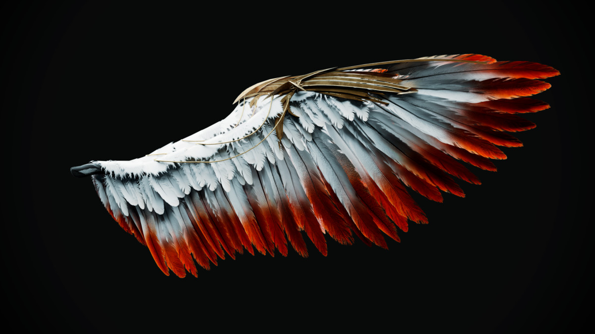 Fallen Angel Wings