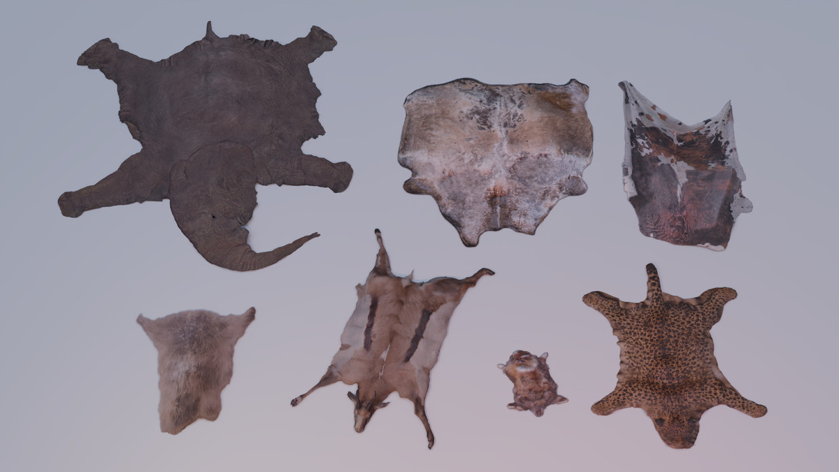 Animal pelts volume five: elephant, cow, calf, leopard, rabbit, antelope 4k URP