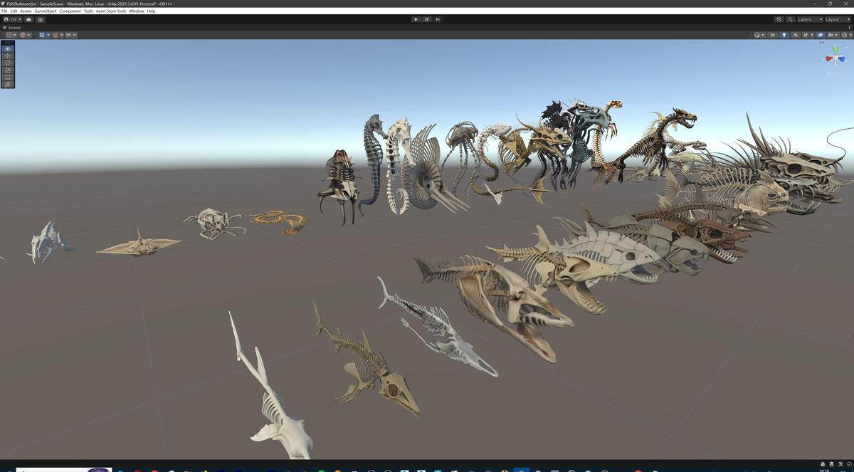 Fish and Underwater Creatures Skeleton Collection – Marine Bone 3D Asset Pack