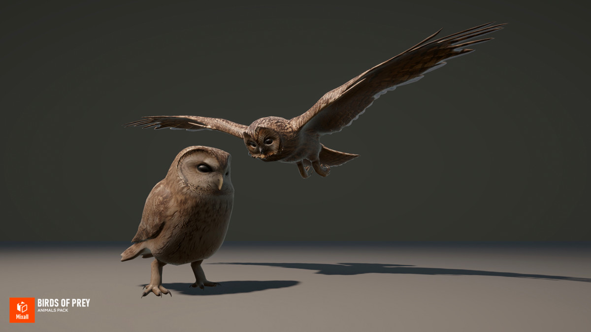 Birds of prey - animals pack