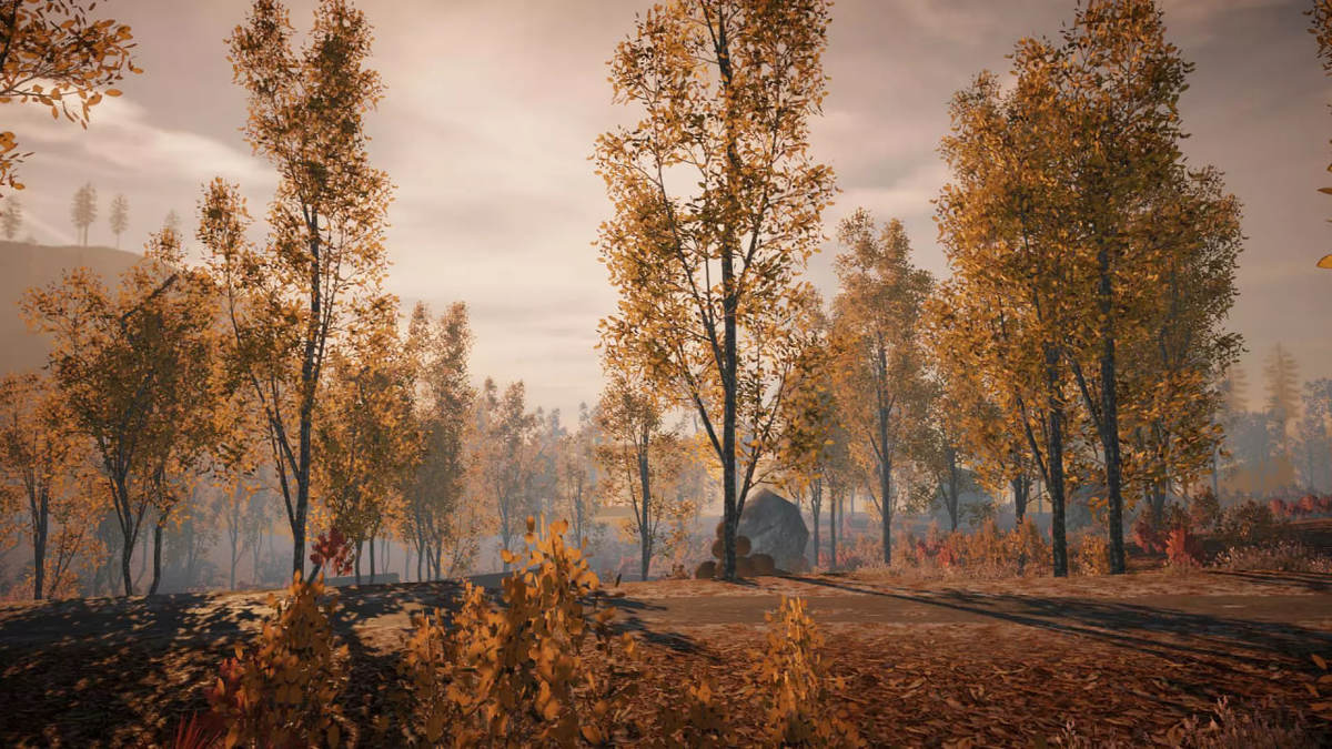 Mega Tree Bundle (All in One)