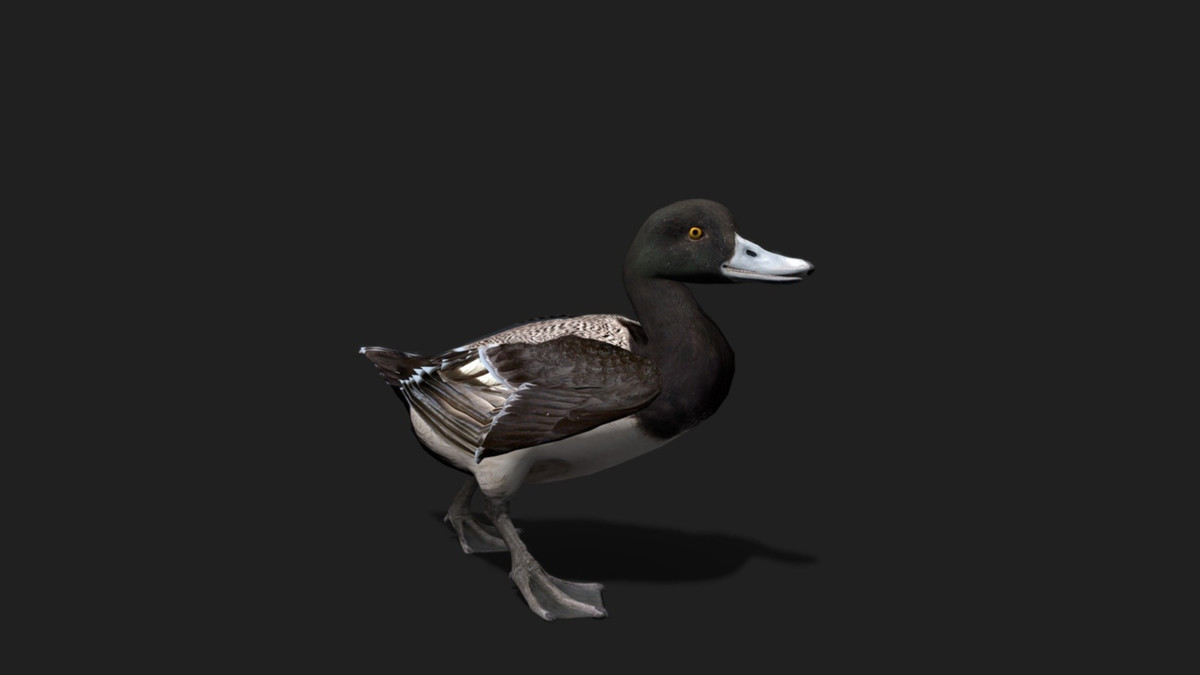 WILDPOLY - Animated Animals – Realistic Pack