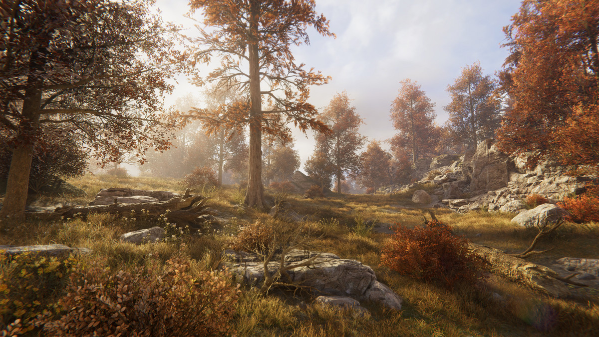 Tobyfredson - Nature Collection