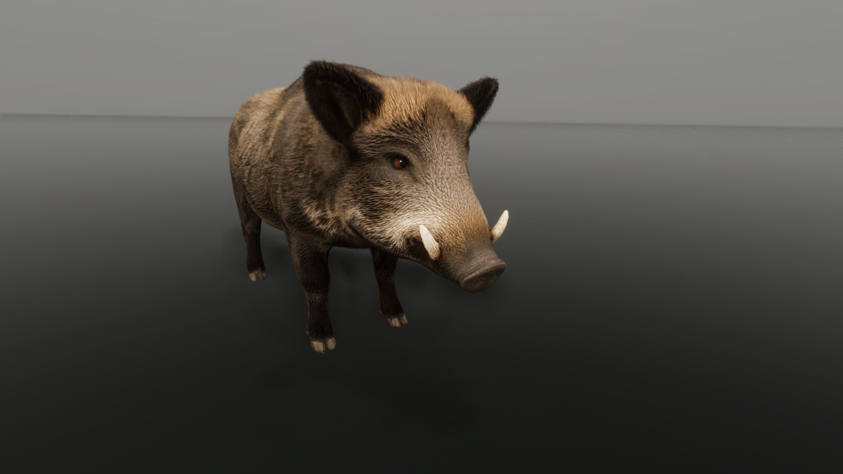 Ultrarealistic Forest Animals - Customizable Fur