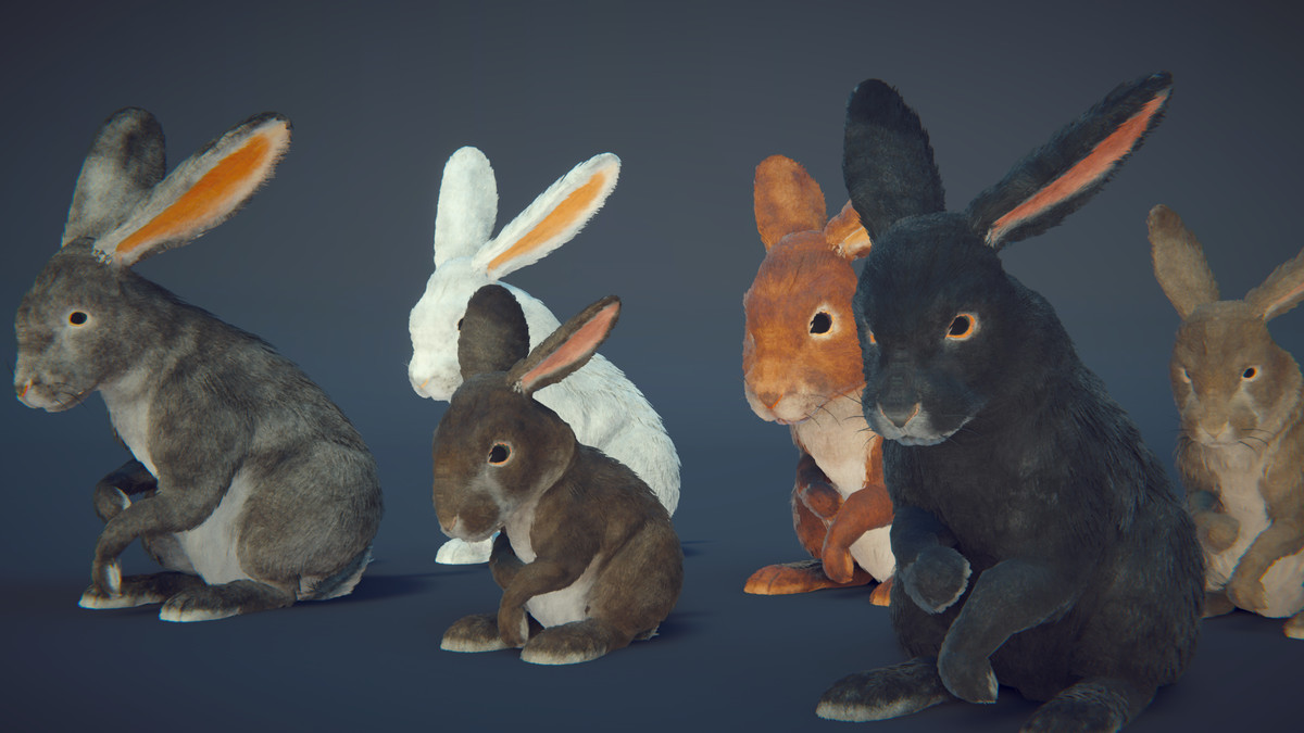 Realistic Rabbits