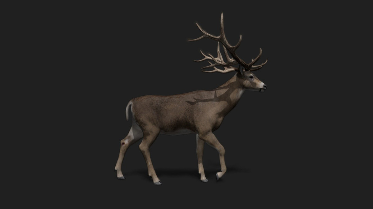 WILDPOLY - Animated Animals – Realistic Pack