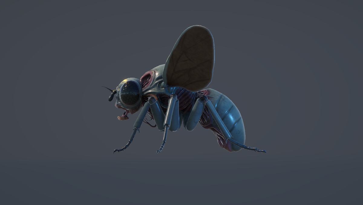 Mutant Fly