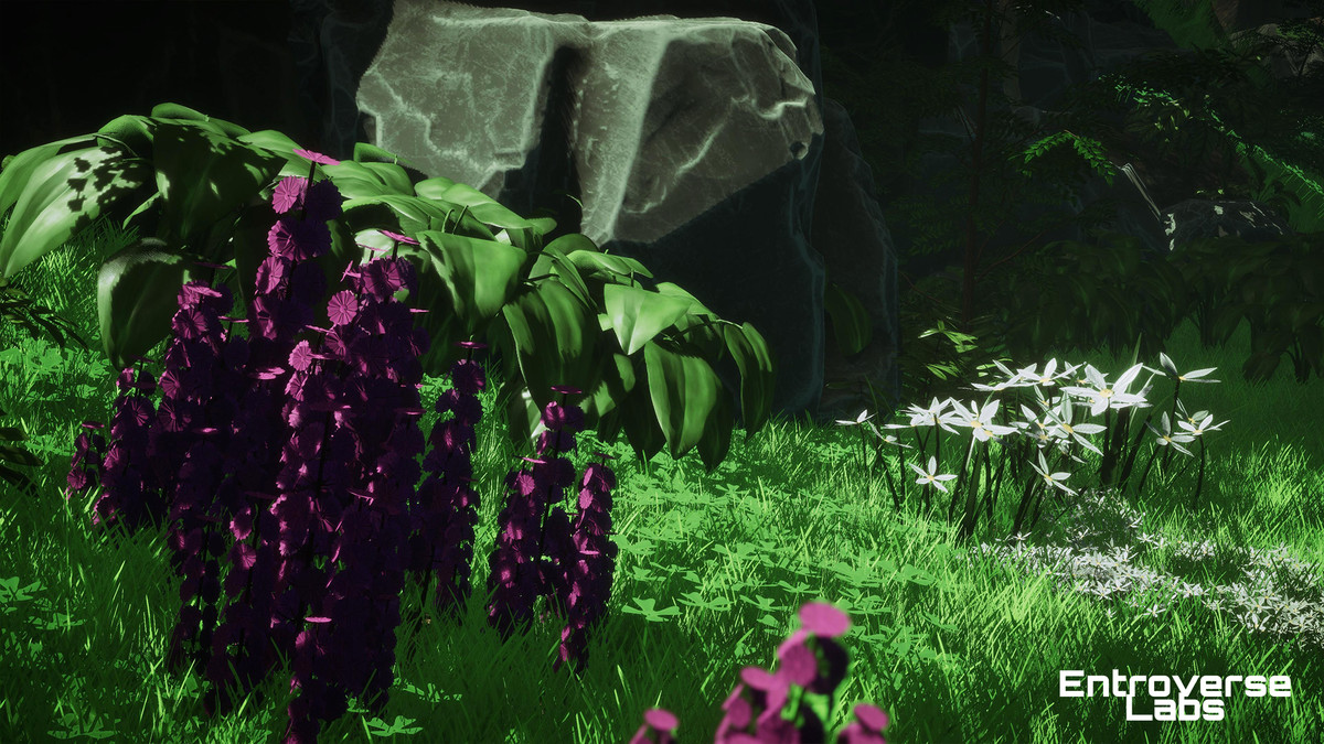 Whispering Grove Environment