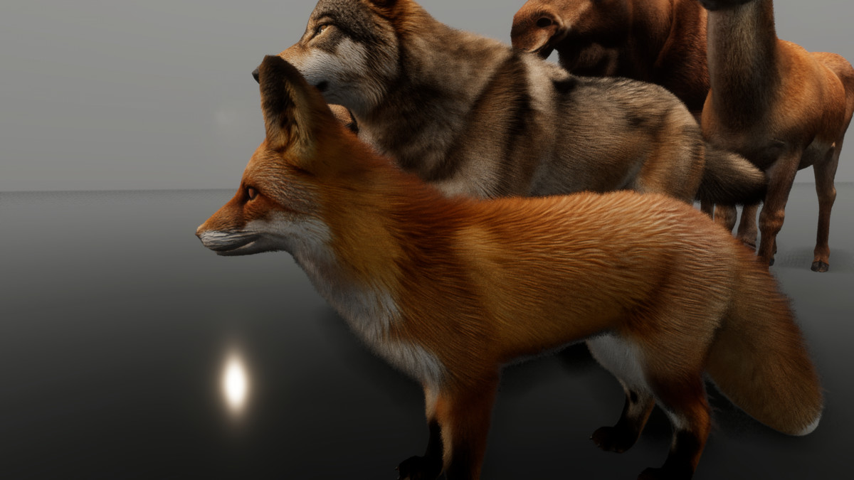 Ultrarealistic Forest Animals - Customizable Fur