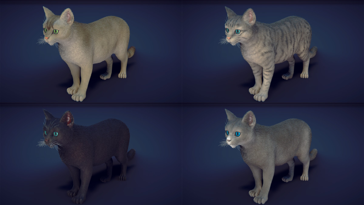 Milo the Cat
