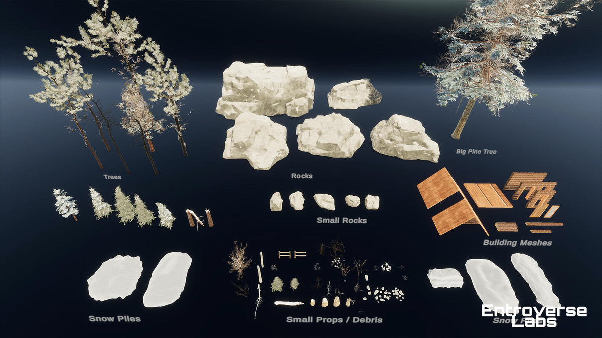 Taiga Biome Environment / Boreal Tundra Forest