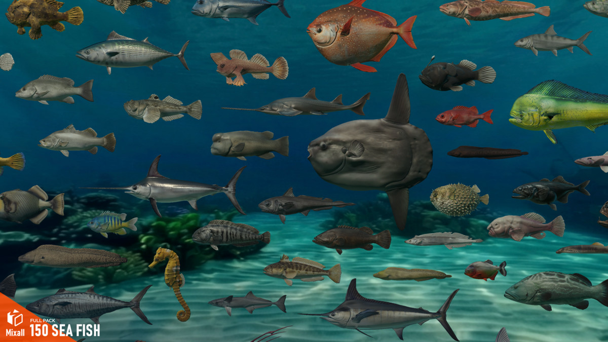 150 Sea fish - Full pack
