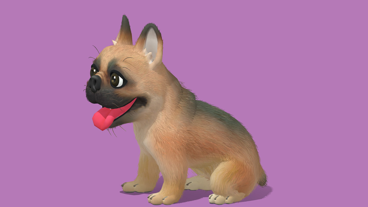 Cute Dog - French Bulldog