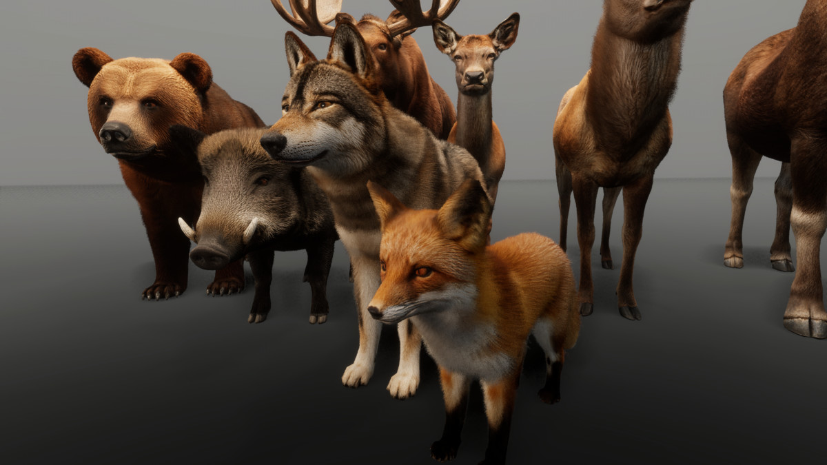 Ultrarealistic Forest Animals - Customizable Fur