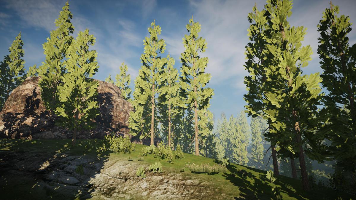 Pine Tree Bundle (Mobile)