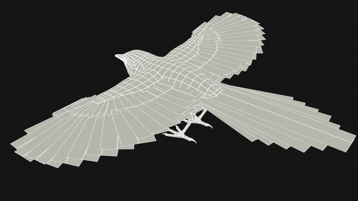 Magpie