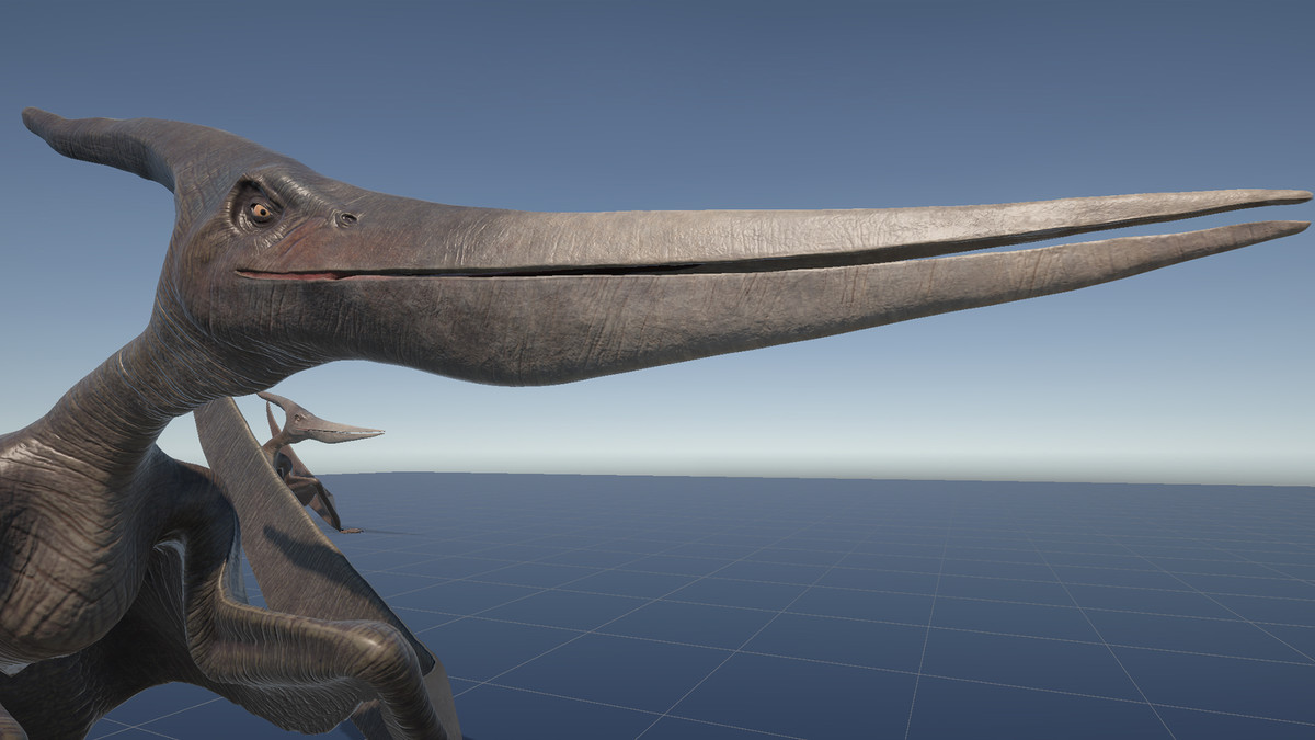 Dinosaur Pteranodon 179 Animations