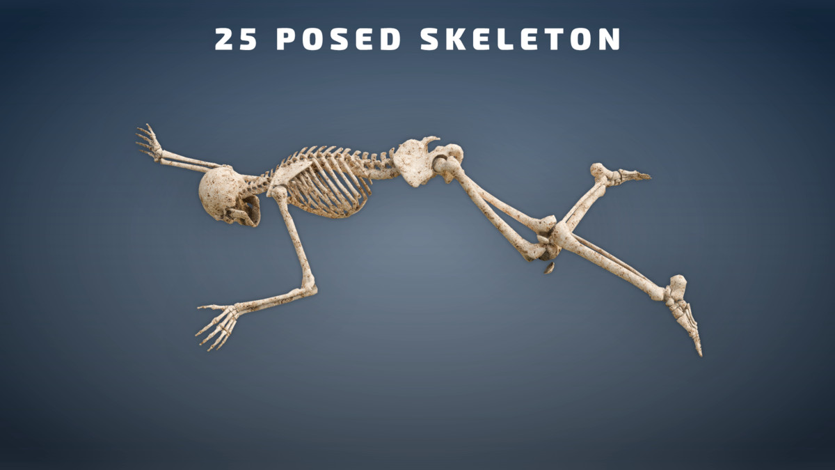 Skeleton Pack