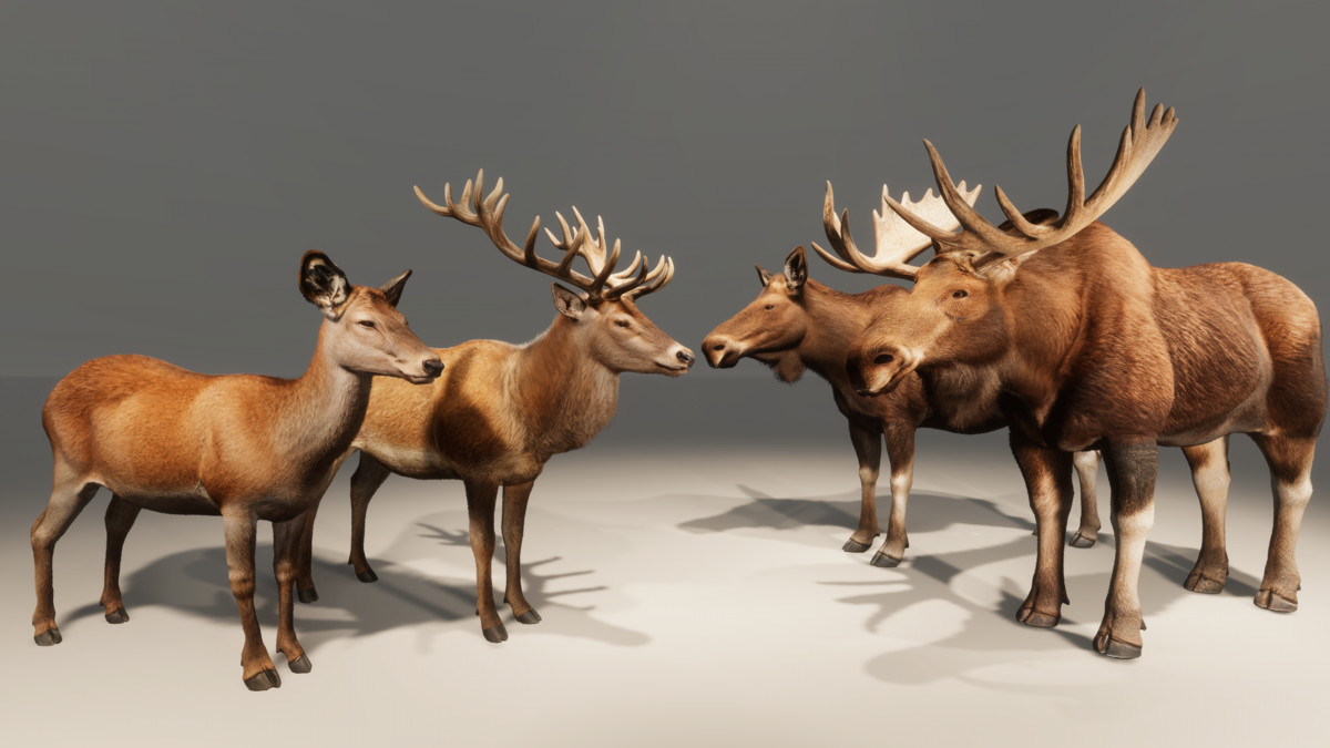 Realistic Deer & Moose – Animated Wildlife Pack