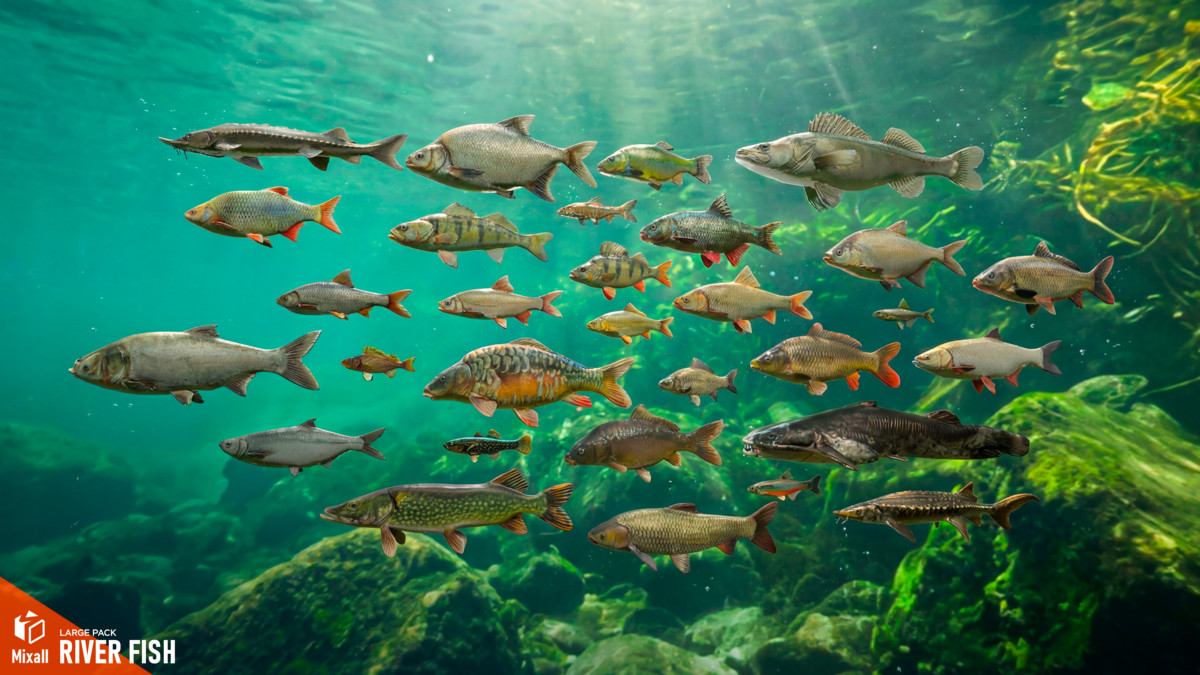 120 River fish - Full pack