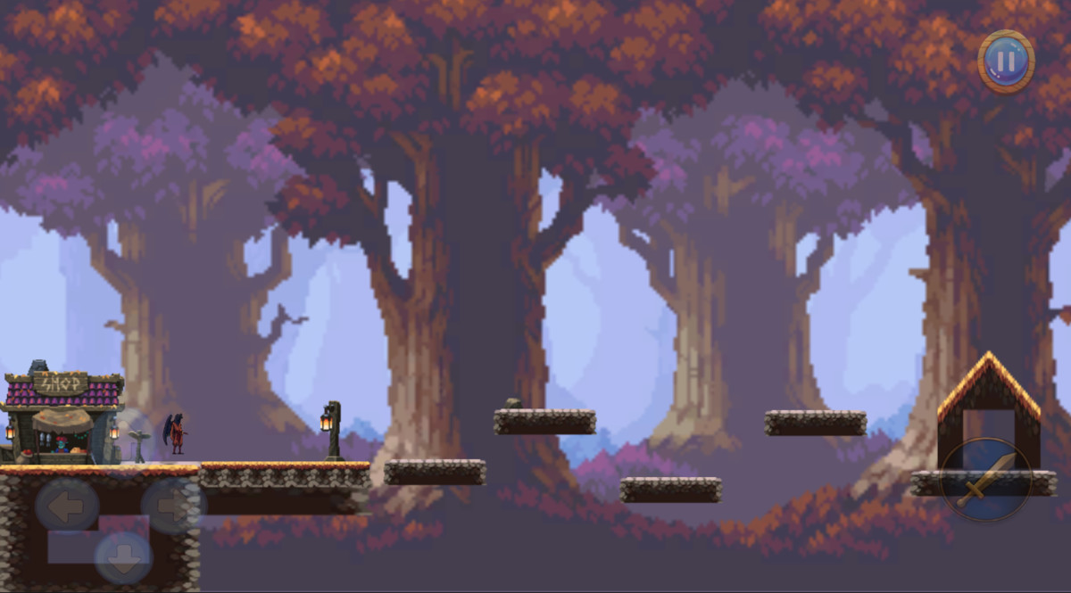 2D Platformer Game Making Pack