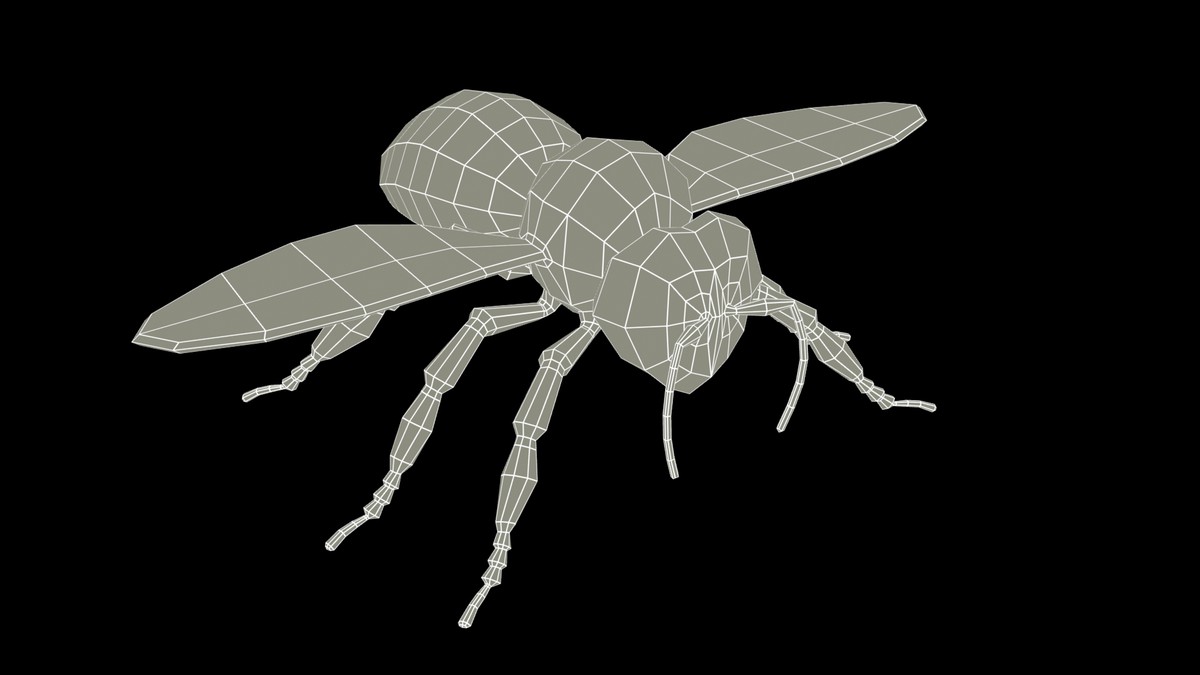 Honey Bee Animated
