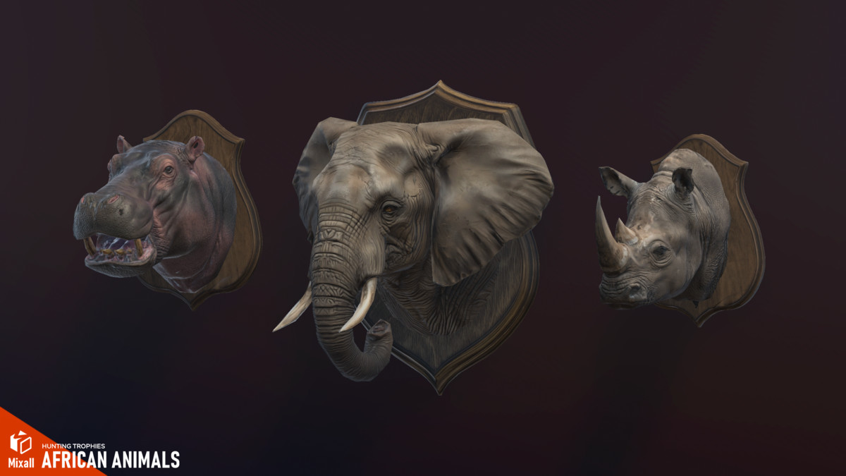 African animals – Hunting trophies