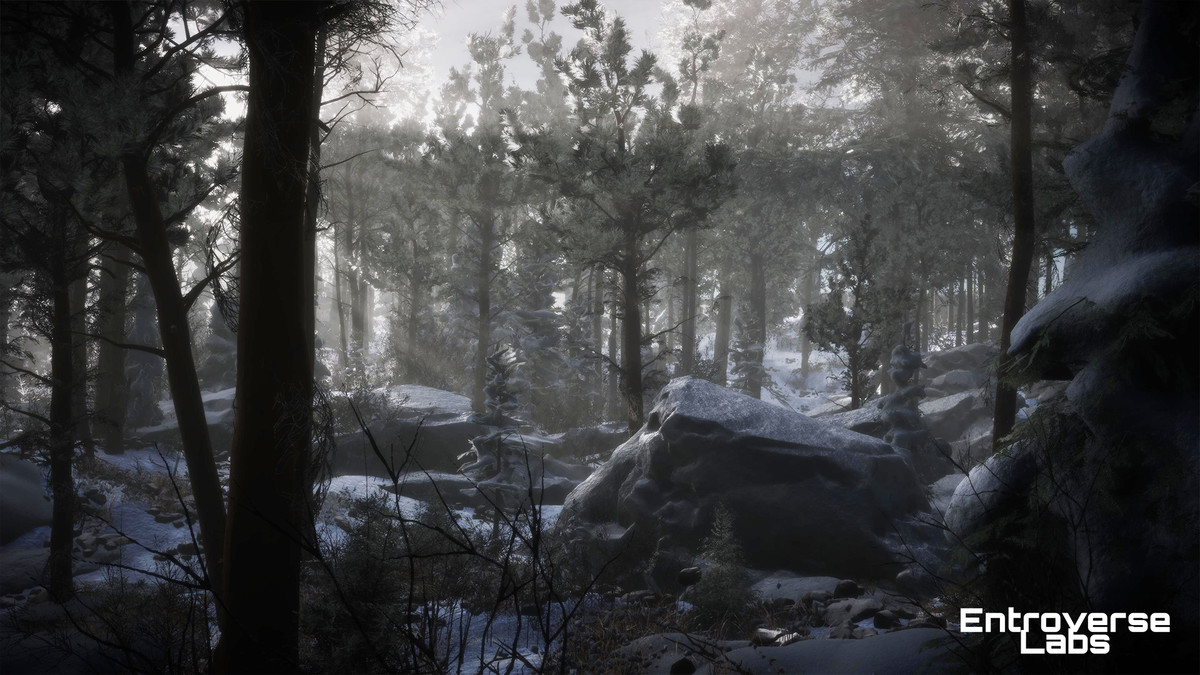 Taiga Biome Environment / Boreal Tundra Forest