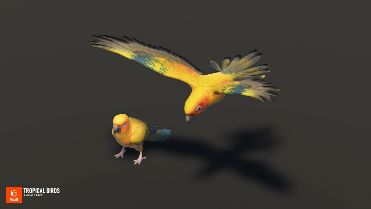 Tropical birds - animals pack