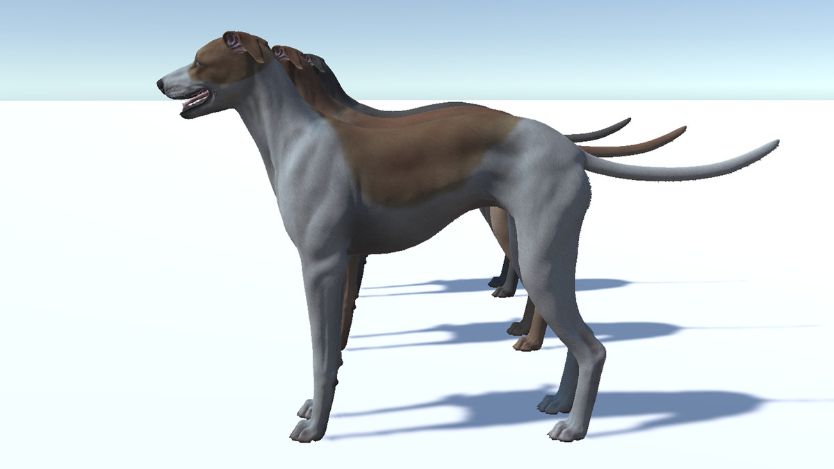 Dog -- Greyhound