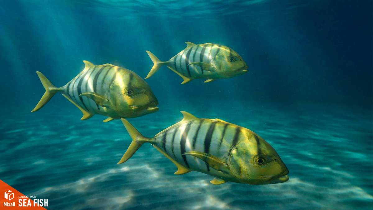 Sea fish - large pack