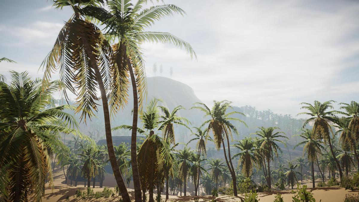 Big Tree Bundle