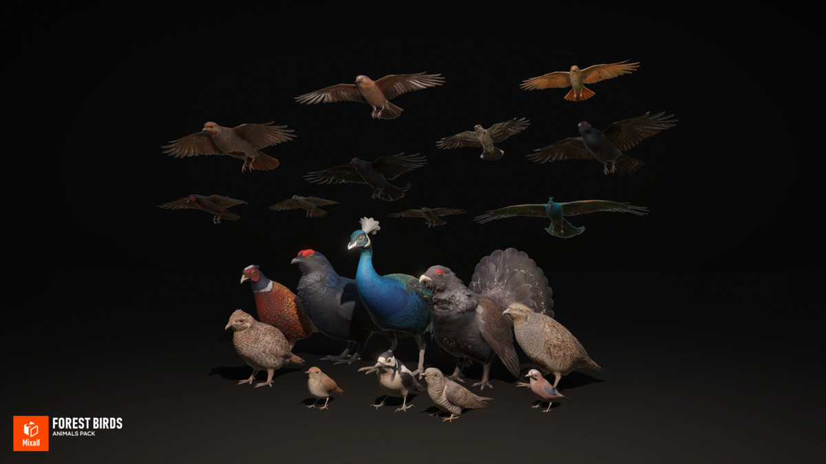 Forest birds - animals pack