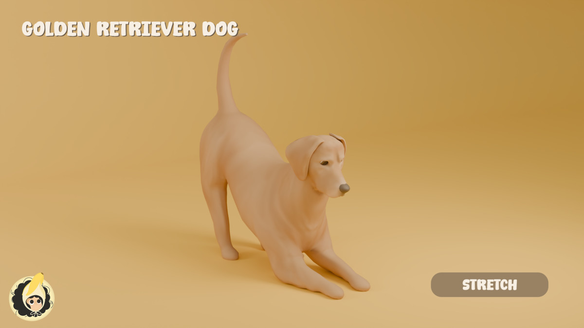 Golden Retriever Dog