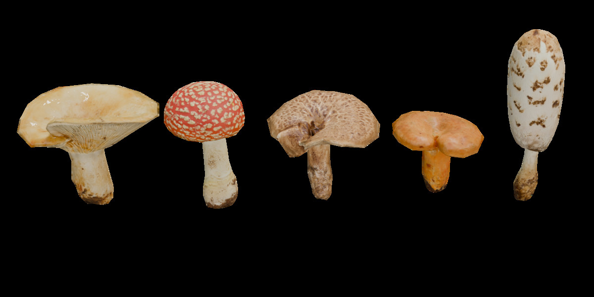 Mushrooms Bundle (62 Prefab + LOD)