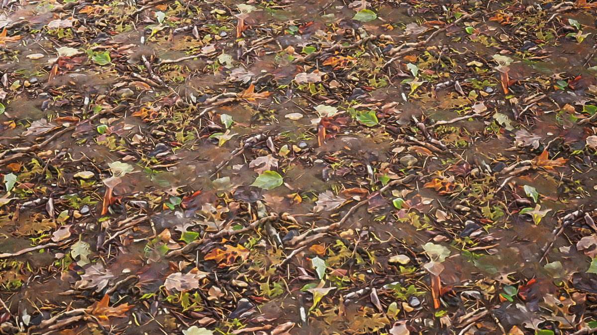 Stylized Materials - Forest Ground 1