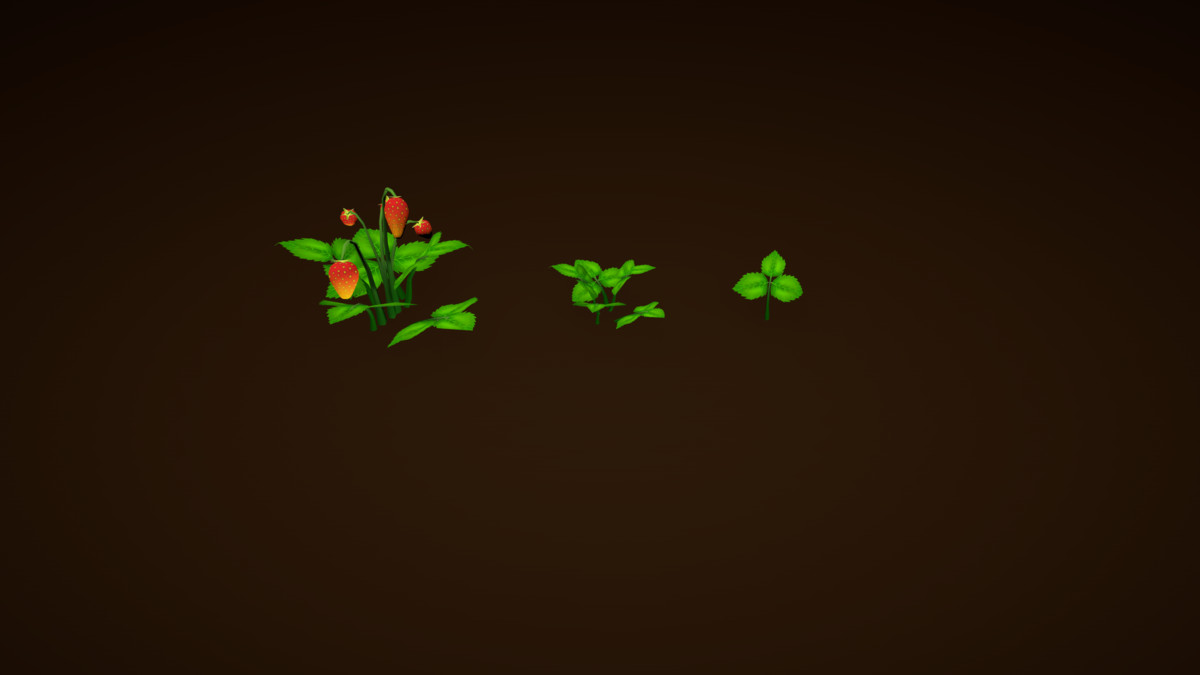 Garden Plants Set