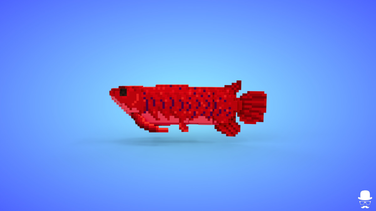 Voxel Fish Pack
