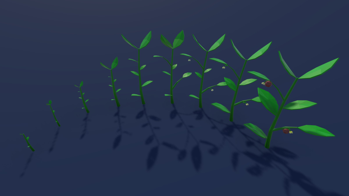 3D Lowpoly Grows Plants