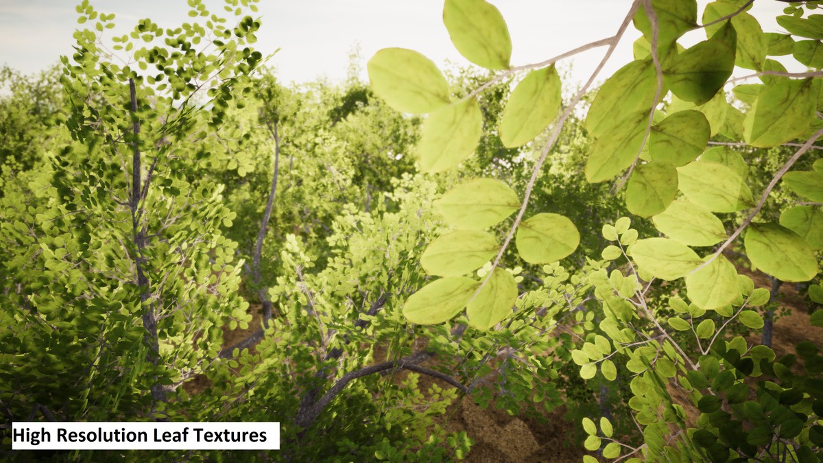 URP Tree Pack 3, image 3