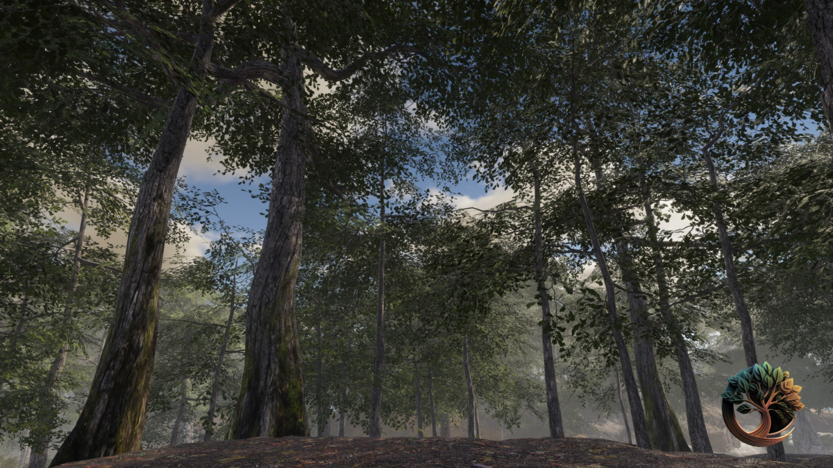 Broadleaf Forest