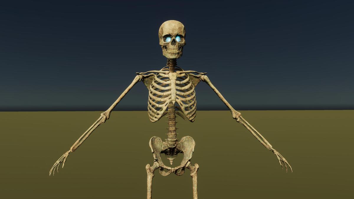 Skeleton Archer Modular