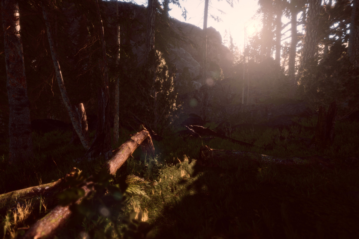 Book of the Dead Forest - URP - Fantasy RPG