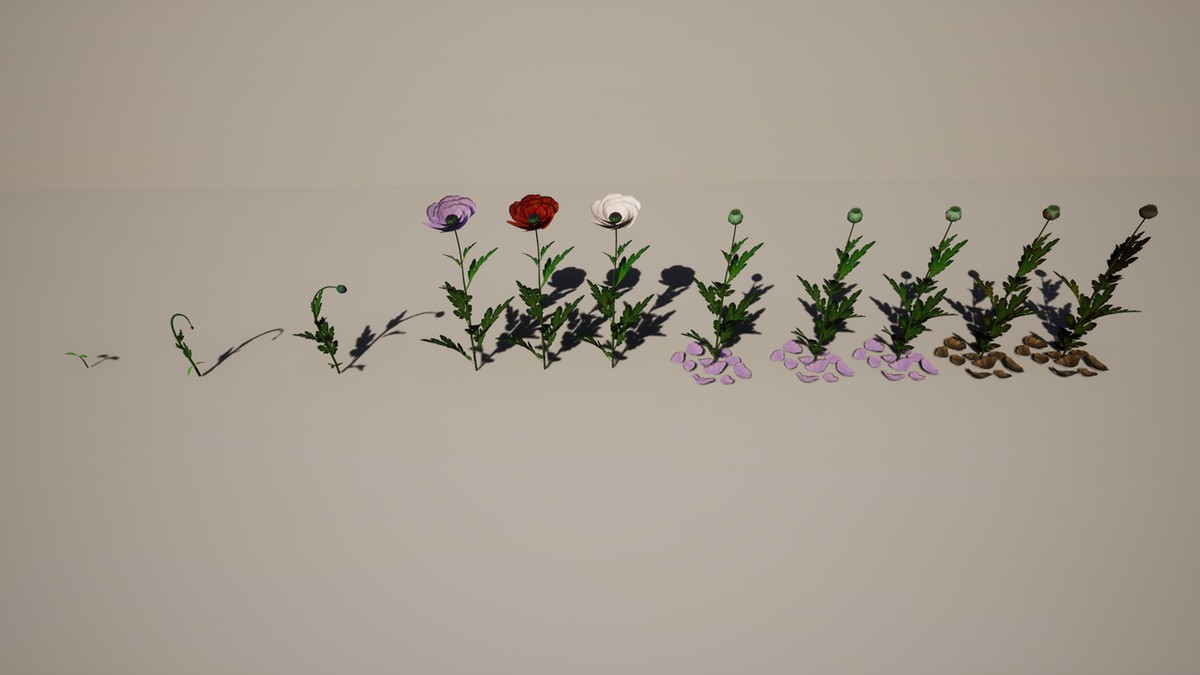 Drugdealer Game 3D Complete Pack