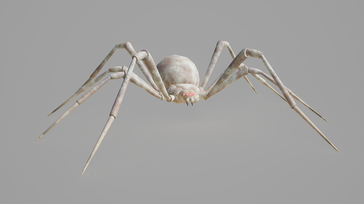 Stylized Spider Creatures Pack