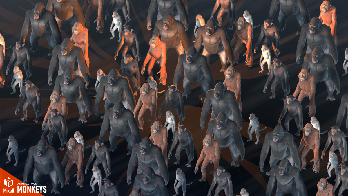 Monkeys - animals pack